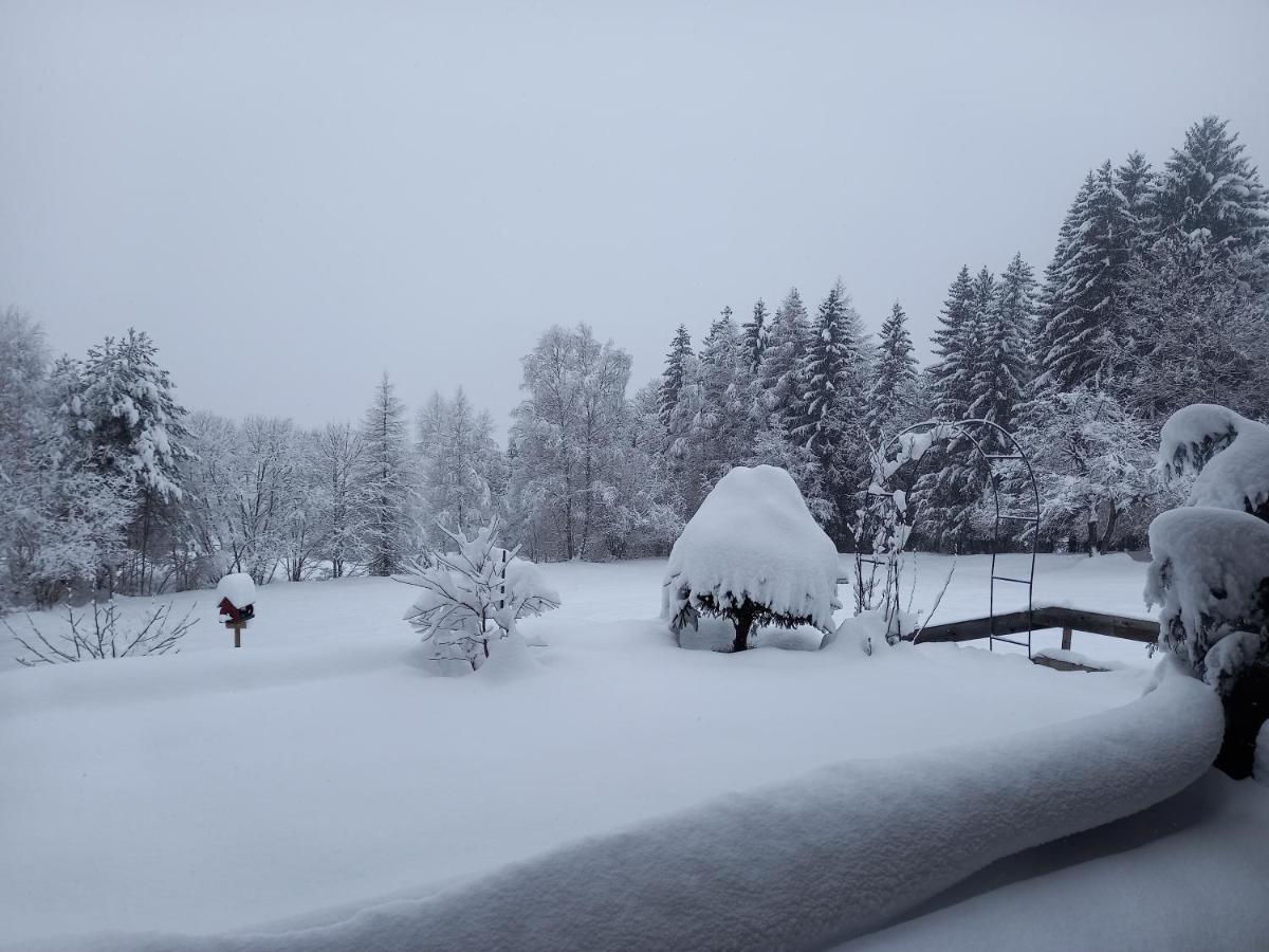 Haus Alexander Villa Fresach Dış mekan fotoğraf